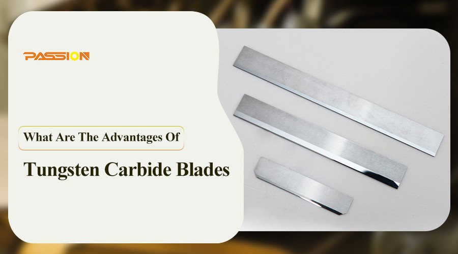 Hungsten Carbide Blades